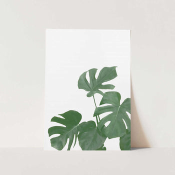 Monstera Aqua 04 PFY Art Print
