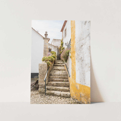Charming European Stairway PFY Art Print