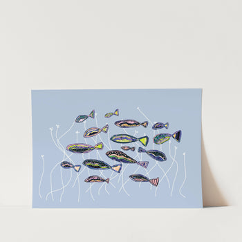 Colorful School of Fish PFY Art Print