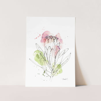 Abstract Narrow Leaf Protea Art Print