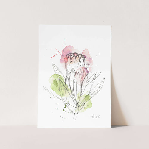 Abstract Narrow Leaf Protea Art Print