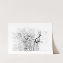 Load image into Gallery viewer, All Seeing Peacock Art Print