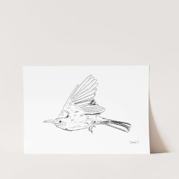 Bee-eater in Flight Art Print