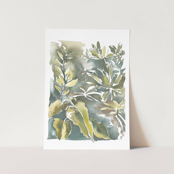 Big Leaves by Sarah Art Print