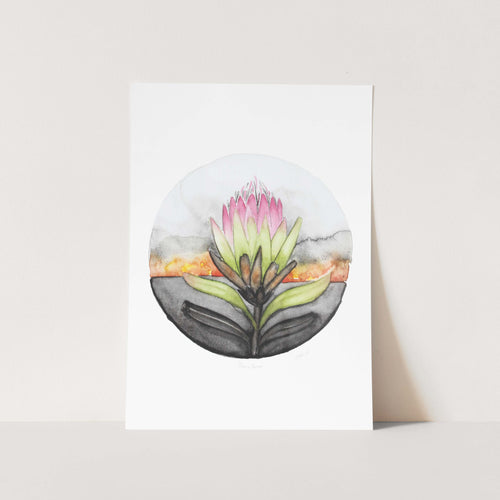 Burnt Protea Art Print