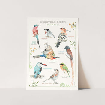 Bushveld Birds Art Print
