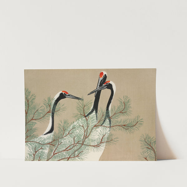 Cranes From Momoyogusa Art Print