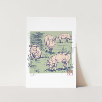 Curves of a Pig 02 Art Print