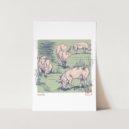 Curves of a Pig 02 Art Print