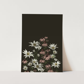 Flannel and Purple Cone Flower 02 Art Print