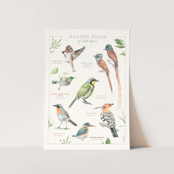 Garden Birds Poster Art Print