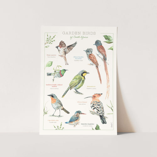 Garden Birds Poster Art Print