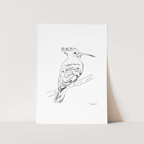 Hoopoe Black and White Art Print