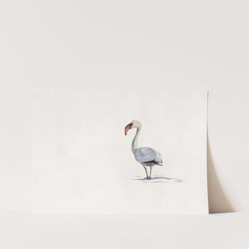 Big Bird by Chanel Art Print