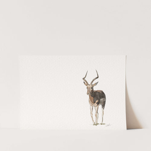 Impala by Chanel Art Print