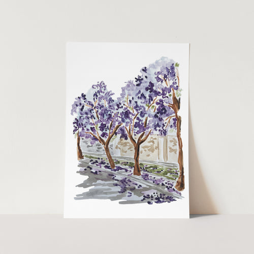 Jacaranda Season Art Print