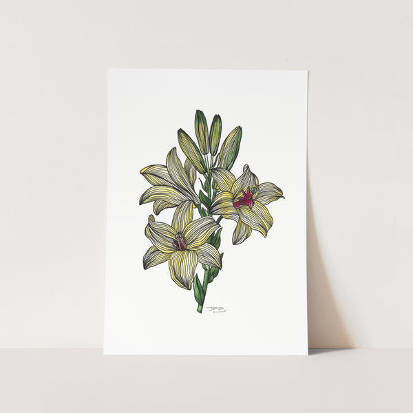 Lilies Art Print