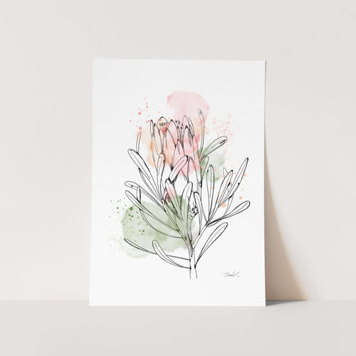 Line Art & Watercolour Sugarbush Art Print