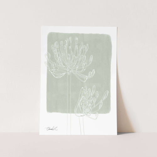 Modern Agapanthus #2 Art Print