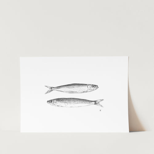 Multiplication of Fish Art Print