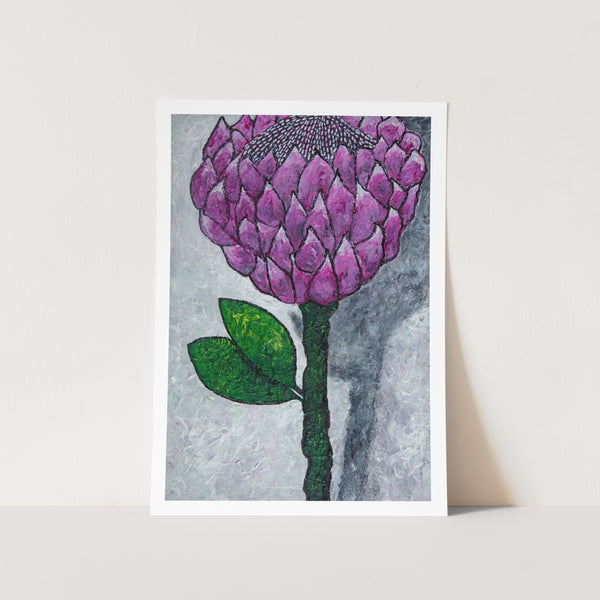 Protea with Shadow Art Print