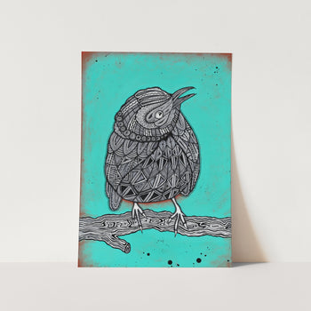 Robin Bird Art Print