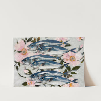 Sardines In Pink PFY Art Print
