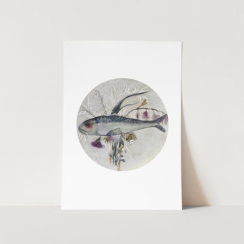 Sardines PFY Art Print