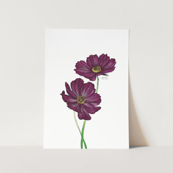 Vrystaat Kosmos Art Print