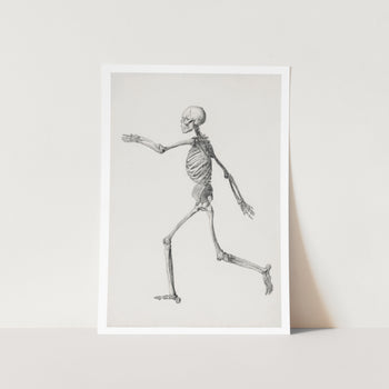Human Figure Lateral View Art Print