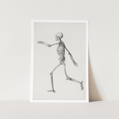 Human Figure Lateral View Art Print