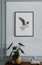 Load image into Gallery viewer, Seagull Art Print