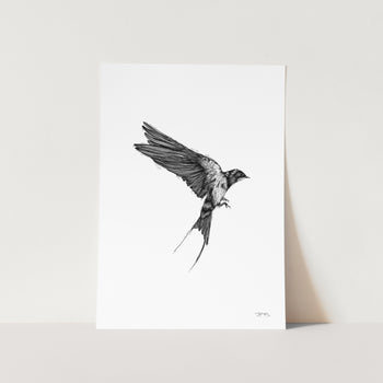 Swallow by JMB Art Print