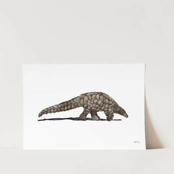 Pangolin by JMB Art Print