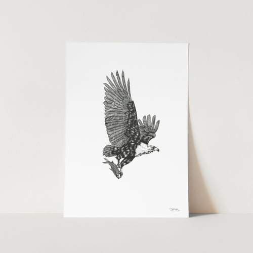 Fish Eagle by JMB Art Print