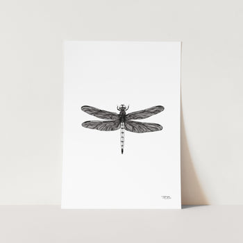 Dragonfly by JMB Art Print