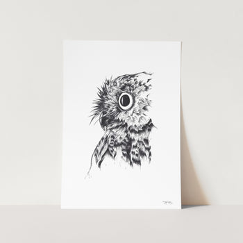 Owl by JMB Art Print
