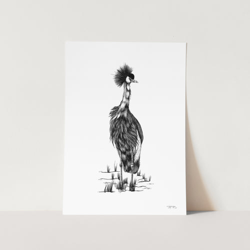 Crown Crane by JMB Art Print