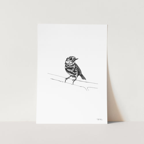 Robin by JMB Art Print