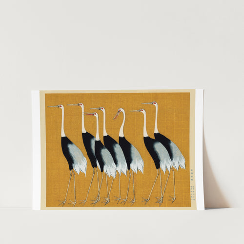 Japanese Red Crown Crane by Ogata Korin Art Print