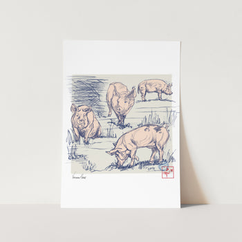 Curves of a Pig 03 Art Print