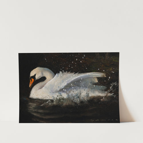 The Swan PFY Art Print