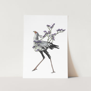 Secretary Bird Art Print