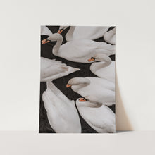 Load image into Gallery viewer, Swans by Maleene Hinrichsen Art Print