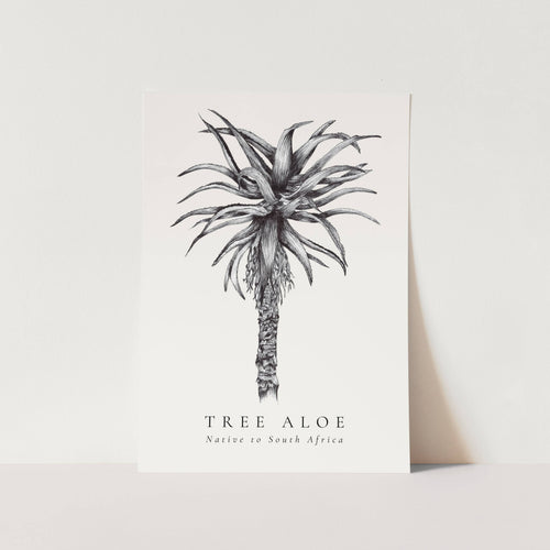 Tree Aloe Native to South Africa Art Print