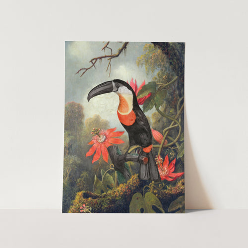 Tropic Elegance PFY Art Print
