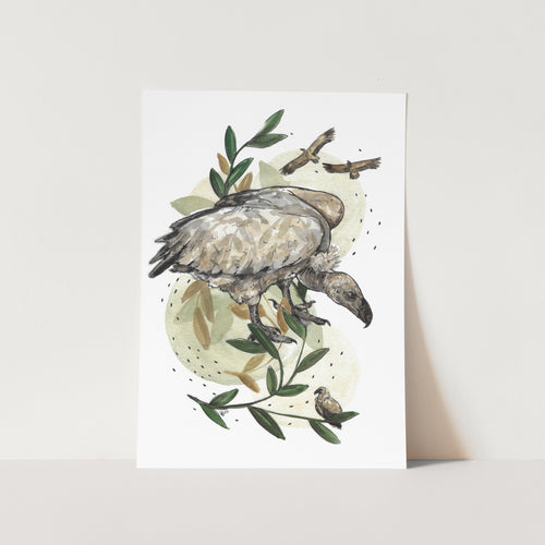 The Rouxville Vulture Art Print