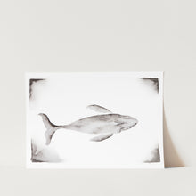 Load image into Gallery viewer, Whale by Amy-Lee Art Print