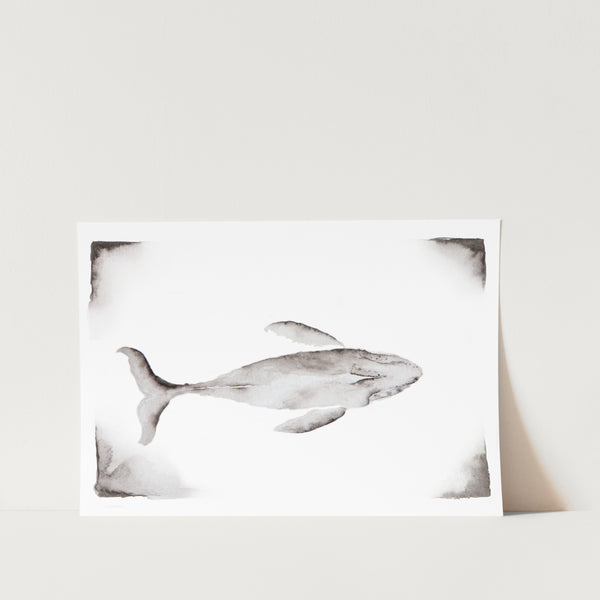 Whale by Amy-Lee Art Print