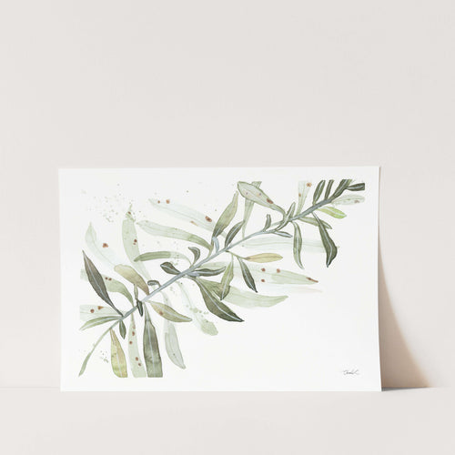 Wild Sage Leaves Art Print